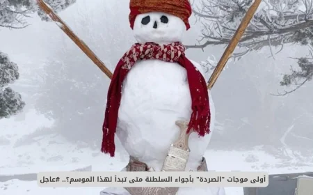 الأرصاد العمانية تكشف توقيت أول موجات الصردة في أجواء السلطنة اكتشف التفاصيل الآن