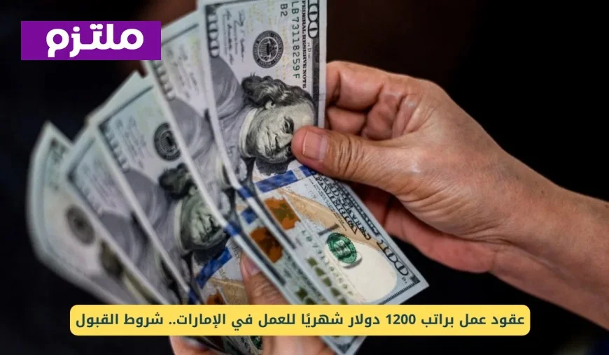 فرص عمل براتب 1200 دولار شهريًا في الإمارات: تعرف على شروط القبول