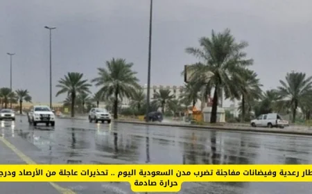 الأرصاد تحذر: أمطار رعدية وفيضانات مفاجئة تهدد مدن السعودية ودرجات حرارة غير مسبوقة