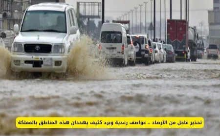 تحذير هام من الأرصاد: عواصف رعدية وبرد شديد يضربان مناطق المملكة