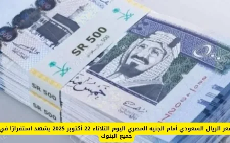 استقرار سعر الريال السعودي مقابل الجنيه المصري اليوم 2025 في جميع البنوك