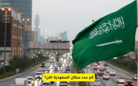 تعرف على التعداد السكاني في السعودية لعام 2024