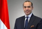 المستشار محمود فوزي يتولى رئاسة ديوان رئاسة الجمهورية