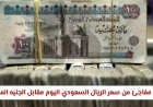 انخفاض غير متوقع في سعر الريال السعودي اليوم أمام الجنيه المصري