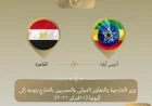 وزير الخارجية يغادر إلى أديس أبابا لقيادة الوفد المصري في اجتماعات الاتحاد الإفريقي