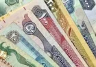 سعر الدرهم الإماراتي في مصر اليوم الثلاثاء 17 فبراير 2026 وطرق متابعة التغيرات المالية