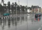 طقس الأربعاء يعلن عن أمطار خفيفة في القاهرة ورياح نشطة على السواحل مع تحذيرات من برودة الليل