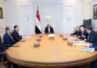 الرئيس السيسي يتعاون مع شركة GCL الصينية لتحقيق تحول صناعة الطاقة المتجددة في مصر