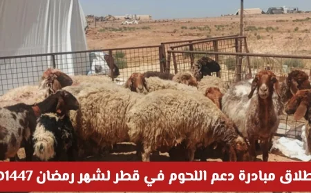 مبادرة دعم اللحوم في قطر لرمضان 1447هـ: اكتشف أماكن البيع والأسعار الآن