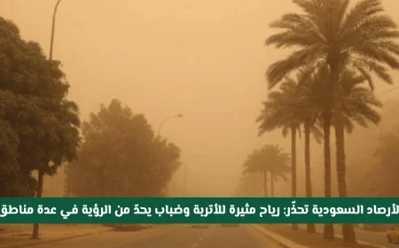 تحذير هام من الأرصاد السعودية: رياح مغبرة وضباب كثيف يسببان تدني الرؤية في مناطق متعددة