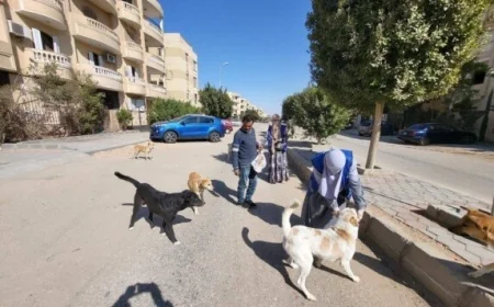 تحصين 8254 كلب وتعقيم 1122 ضمن حملة مكثفة لمكافحة السعار منذ يناير حسب وزارة الزراعة