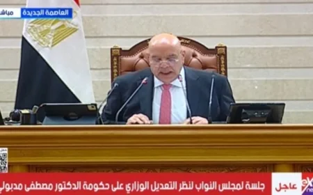 رئيس النواب يعلن تعيين خالد هاشم وزيرا للصناعة ومحمد فريد وزيرا للاستثمار وأحمد رستم وزيرا للتخطيط