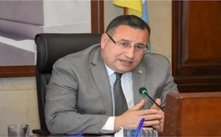 عبد العزيز قنصوه يتولى وزارة التعليم العالي والبحث العلمي في الحكومة الجديدة