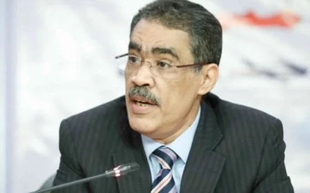 ضياء رشوان وزير الإعلام في الحكومة الجديدة 2026 تعرف على سيرته الذاتية