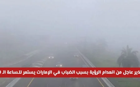 تحذير عاجل: انعدام الرؤية بسبب الضباب يؤثر على عدة مناطق في الإمارات حتى الساعة 10