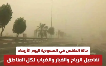 تعرّف على توقعات الطقس في السعودية اليوم الأربعاء: رياح وغبار وضباب في كافة المناطق