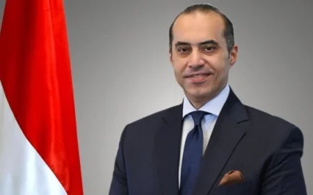 المستشار محمود فوزي يتولى رئاسة ديوان رئاسة الجمهورية