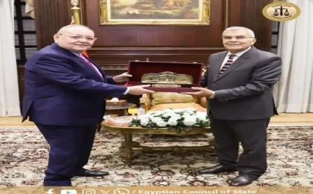 تهنئة مميزة من رئيس مجلس الدولة لرئيس مجلس الشيوخ بعد توليه المنصب