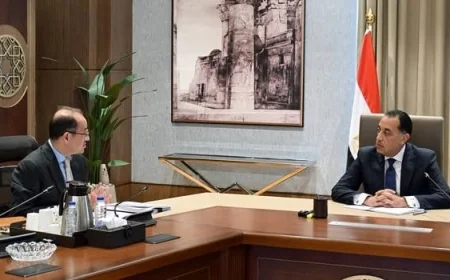 مدبولي ووزير المالية يناقشان آخر مستجدات المراجعة مع صندوق النقد الدولي