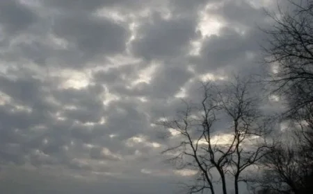 الأرصاد الجوية تكشف تفاصيل حالة الطقس ودرجات الحرارة ليوم الخميس 12 فبراير 2026