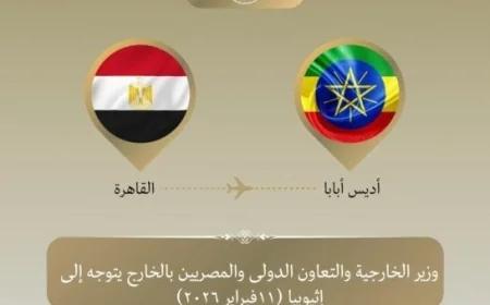 وزير الخارجية يغادر إلى أديس أبابا لقيادة الوفد المصري في اجتماعات الاتحاد الإفريقي