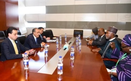 مباحثات وزيرا خارجية مصر ونيجيريا لتعزيز العلاقات الثنائية ومتابعة تطورات إفريقيا