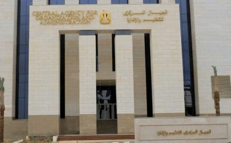 التنظيم والإدارة يعلن عن تشكيل لجنة لتسريع تنفيذ التعديلات الجديدة في هياكل الوزارات