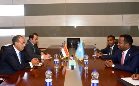 وزير الخارجية المصري يؤكد رفض بلاده لأي اعترافات أحادية تهدد وحدة الأراضي الصومالية