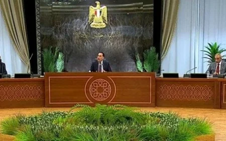 مدبولي يؤكد تطوير شركات قطاع الأعمال ولا نية لتصفيتها