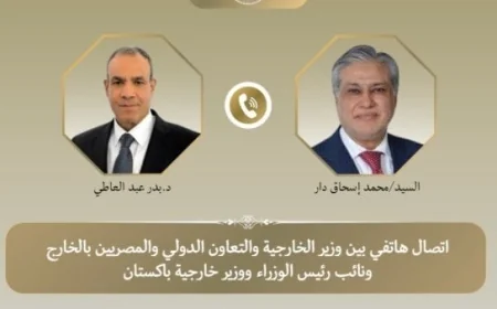 وزير الخارجية المصري والباكستاني يناقشان الأوضاع في غزة وآخر التطورات الإقليمية