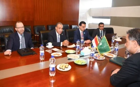 وزير الخارجية المصري يعزز الالتزام بدعم تطوير الأداء المؤسسي للاتحاد الإفريقي