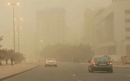 نصائح هامة لحماية الأطفال ومرضى الحساسية والجيوب الأنفية خلال العاصفة الترابية