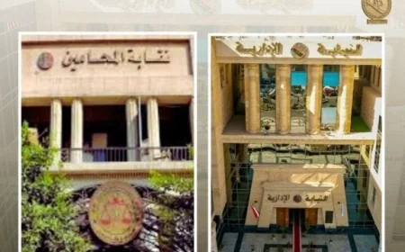 النيابة الإدارية تتولى الإشراف على جولة الإعادة للمرحلة الثانية من انتخابات المحامين الفرعية غدا