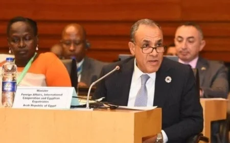 وزير الخارجية يؤكد التزام مصر القوي بدعم استعادة التراث الإفريقي