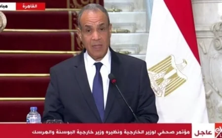 مصر وجامبيا تناقشان التحديات والفرص في منطقة الساحل الإفريقي