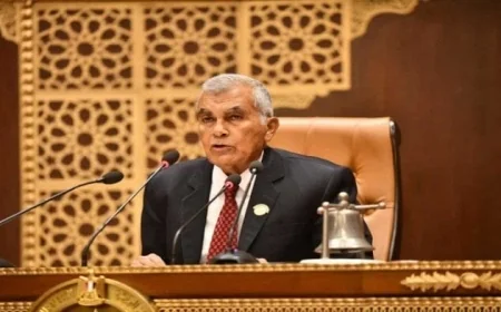 غداً الشيوخ يستعرضون قضايا أسعار الأدوية والعلاج على نفقة الدولة