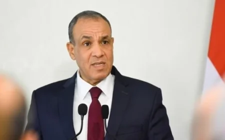 وزير الخارجية يعبر عن تحيات الرئيس السيسي وتقديره للقادة الأفارقة والمسئولين الدوليين