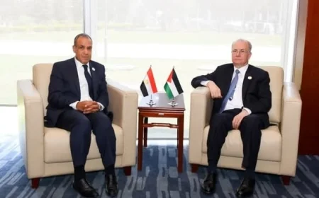 وزير الخارجية يشدد على ضرورة تسريع تشكيل ونشر قوة الاستقرار الدولية في غزة لتحقيق السلام