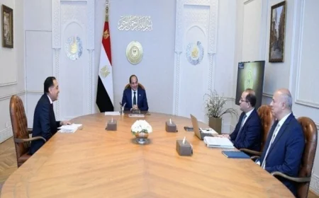 وزير المالية يكشف للرئيس السيسي آخر مستجدات مفاوضات صندوق النقد الدولي