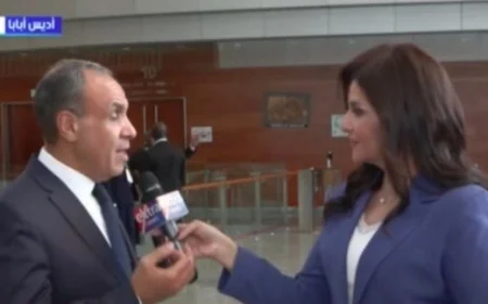 وزير الخارجية يؤكد أهمية الحوار حول استعادة عضوية السودان في مجلس السلم والأمن الإفريقي