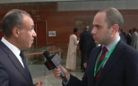 وزير الخارجية يؤكد أهمية المسار السياسي لحل الأزمات ويستبعد الحلول العسكرية المستدامة