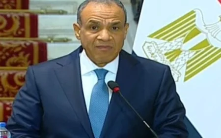 مصر تتعاون مع الشركاء لضمان تنفيذ اتفاق إطلاق النار في غزة وفقاً لتصريحات وزير الخارجية