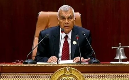 مجلس الشيوخ يناقش اليوم قضايا أسعار الأدوية وتكاليف العلاج على حساب الدولة