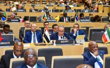 وزير الخارجية يسلط الضوء على أهمية استغلال عضوية الاتحاد الأفريقي في مجموعة العشرين لتعزيز أولويات القارة الأفريقية