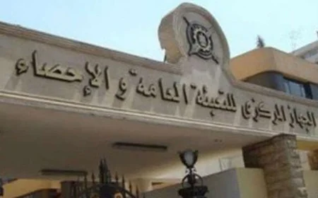 المركزي للإحصاء يكشف عن انخفاض معدل البطالة إلى 6.2% في نهاية 2025