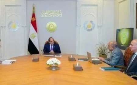 الرئيس السيسي يواصل متابعة تقدم مشروعات الطاقة المتجددة في مصر