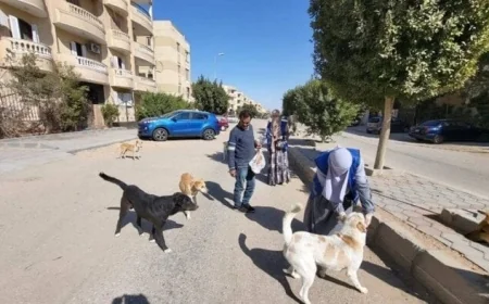 تحصين وتعقيم 11 ألف كلب حر منذ بداية العام و779 ندوة لزيادة الوعي البيئي وفق وزارة الزراعة