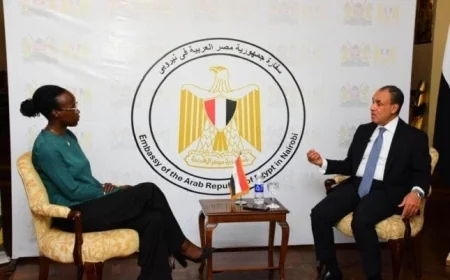 تحقيق شراكة استراتيجية أقوى بين مصر وكينيا بحسب تصريح وزير الخارجية
