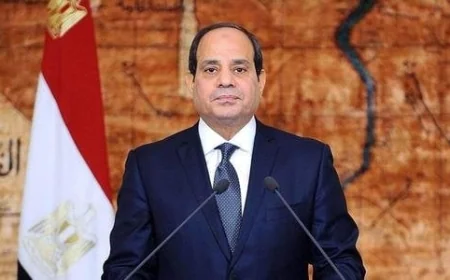 الرئيس السيسي يؤكد أهمية التواصل الفعّال بين المحافظين والمواطنين ودراسة الشكاوى بجدية