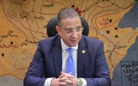 تعرف على السيرة الذاتية للدكتور أحمد الأنصاري المحافظ الجديد للجيزة